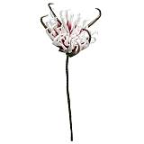 ΚΛΑΔΙ FOAM ΡΟΖ ΑΓΚΙΝΑΡΑ - Y82cm 12/120ΚΙΒ