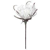 FOAM ΛΕΥΚΟ ΑΓΚΙΝΑΡΑ Y82cm. 12/120ΚΙΒ