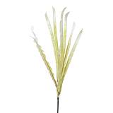 FOAM ΕΚΡΟΥ ΦΥΛΛΩΜΑ Υ113cm. 12/120ΚΙΒ