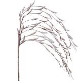 FOAM ΙΤΙΑ ΣΟΜΟΝ Y53cm. 36/360ΚΙΒ