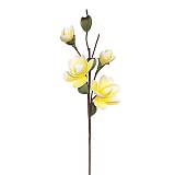 FOAM ΚΙΤΡΙΝΟ ΑΝΘΟΣ ΚΑΜΕΛΙΑ Χ6 40x85cm 12/120KIB