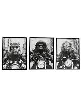 Κάδρο "ANIMAL BIKE" /3σχέδια 45x60cm