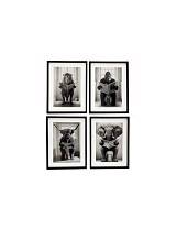 Κάδρο "ANIMAL TOILET" 4σχ. 30x40cm