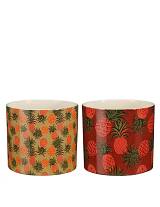 Κασπώ κεραμικό με φρούτα 2σχέδια Φ13,5Η12cm