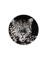 Πίνακας τοίχου γυαλ.Wild Life ασπρόμαυρο 60Χ60