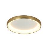 CEILING  LIGHT 43W 3000K  ALUMINUM & ACRYLIC  BRUSHED  GOLD MATT