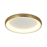 CEILING  LIGHT 55W 3000K ALUMINIUM & ACRYLIC BRUSHED GOLD MATT