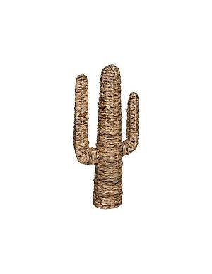 Κάκτος διακ.υδρουάκινθος 38,5Χ75