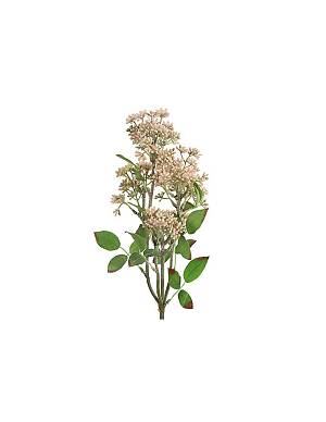 Prunus κλαδί ροζ