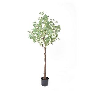 SILVER DOLLAR EUCALYPTUS ΤΕΧΝΗΤΟ ΦΥΤΟ ΣΕ ΓΛΑΣΤΡΑ PE ΜΕΤΑΞΩΤΟ ΥΦΑΣΜΑ ΠΡΑΣΙΝΟ H150cm