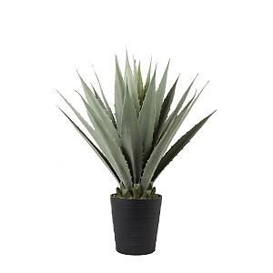 AGAVE ΦΥΤΟ ΤΕΧΝΗΤΟ ΣΕ ΓΛΑΣΤΡΑ PVC ΤΣΙΜΕΝΤΟ ΠΡΑΣΙΝΟ ΜΑΥΡΟ 58