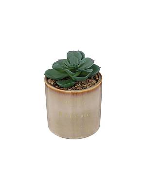 Κάκτος σε κασπώ κεραμικό Φ9,8Η14cm