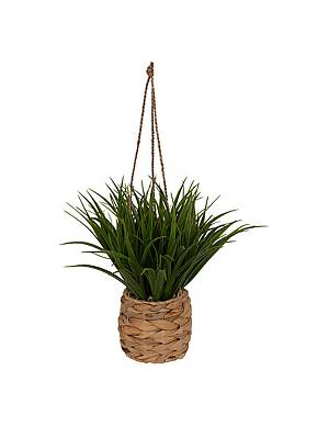 Γρασίδι σε ψάθινο κρεμαστό κασπώ 25 x 25 x 27 cm