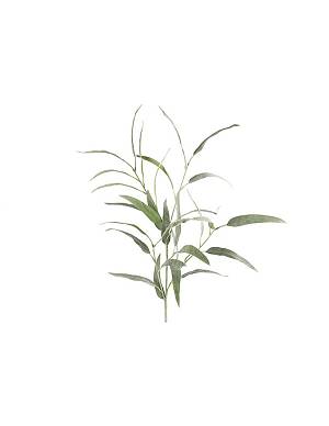 Γρασίδι κλαδί 105εκ.