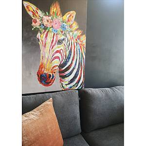 ZEBRA ΠΙΝΑΚΑΣ ΔΙΑΚΟΣΜΗΣΗΣ 80x120x4cm ΚΑΜΒΑΣ ΠΟΛΥΧΡΩΜΟ