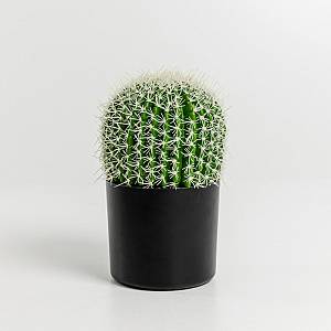 FEROCACTUS ΦΥΤΟ ΤΕΧΝΗΤΟ ΣΕ ΓΛΑΣΤΡΑ 18x18x30cm ΥΦΑΣΜΑ ΠΡΑΣΙΝΟ ΛΕΥΚΟ ΠΛΑΣΤΙΚΟ