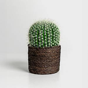 FEROCACTUS ΦΥΤΟ ΤΕΧΝΗΤΟ ΣΕ ΓΛΑΣΤΡΑ 18x18x30cm ΥΦΑΣΜΑ ΠΡΑΣΙΝΟ ΛΕΥΚΟ ΠΛΑΣΤΙΚΟ
