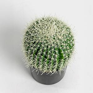 FEROCACTUS ΦΥΤΟ ΤΕΧΝΗΤΟ ΣΕ ΓΛΑΣΤΡΑ 18x18x30cm ΥΦΑΣΜΑ ΠΡΑΣΙΝΟ ΛΕΥΚΟ ΠΛΑΣΤΙΚΟ