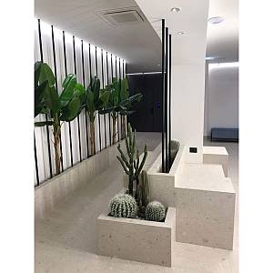 FEROCACTUS ΦΥΤΟ ΤΕΧΝΗΤΟ ΣΕ ΓΛΑΣΤΡΑ 25x25x33cm ΥΦΑΣΜΑ ΠΡΑΣΙΝΟ ΛΕΥΚΟ ΠΛΑΣΤΙΚΟ