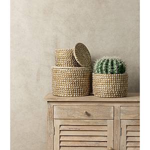 FEROCACTUS ΦΥΤΟ ΤΕΧΝΗΤΟ ΣΕ ΓΛΑΣΤΡΑ 25x25x33cm ΥΦΑΣΜΑ ΠΡΑΣΙΝΟ ΛΕΥΚΟ ΠΛΑΣΤΙΚΟ