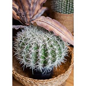 FEROCACTUS ΦΥΤΟ ΤΕΧΝΗΤΟ ΣΕ ΓΛΑΣΤΡΑ 25x25x33cm ΥΦΑΣΜΑ ΠΡΑΣΙΝΟ ΛΕΥΚΟ ΠΛΑΣΤΙΚΟ