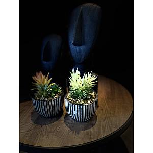 LAKHSMI 3 ΦΥΤΟ ΤΕΧΝΗΤΟ ΣΕ ΚΑΣΠΩ 13x13x18.5cm POLYRESIN ΜΑΥΡΟ ΛΕΥΚΟ ΠΡΑΣΙΝΟ