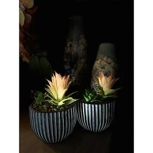 LAKHSMI 4 ΦΥΤΟ ΤΕΧΝΗΤΟ ΣΕ ΚΑΣΠΩ 13x13x18.5cm POLYRESIN ΜΑΥΡΟ ΛΕΥΚΟ ΠΡΑΣΙΝΟ