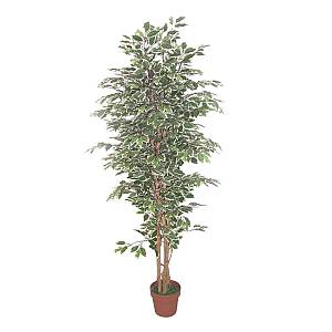 FICUS ΔΕΝΤΡΟ ΤΕΧΝΗΤΟ ΣΕ ΓΛΑΣΤΡΑ 170cm POLYESTER ΠΡΑΣΙΝΟ PE/PP