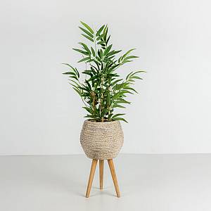 BAMBOO ΦΥΤΟ ΤΕΧΝΗΤΟ ΣΕ ΓΛΑΣΤΡΑ 70cm POLYESTER ΠΡΑΣΙΝΟ PVC
