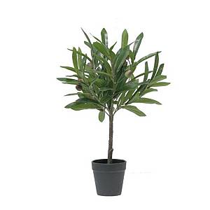 OLIA ΦΥΤΟ ΤΕΧΝΗΤΟ ΣΕ ΓΛΑΣΤΡΑ 45cm PVC ΠΡΑΣΙΝΟ PU