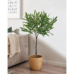 OLIA ΦΥΤΟ ΤΕΧΝΗΤΟ ΣΕ ΓΛΑΣΤΡΑ 75cm PVC ΠΡΑΣΙΝΟ PU