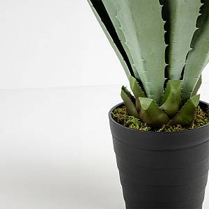AGAVE ΦΥΤΟ ΤΕΧΝΗΤΟ ΣΕ ΓΛΑΣΤΡΑ 58cm PVC ΠΡΑΣΙΝΟ ΜΑΥΡΟ ΤΣΙΜΕΝΤΟ