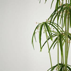 WINDMILL ΔΕΝΤΡΟ ΤΕΧΝΗΤΟ ΣΕ ΓΛΑΣΤΡΑ 160cm PVC ΠΡΑΣΙΝΟ ΜΑΥΡΟ ΤΣΙΜΕΝΤΟ