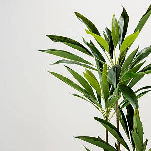 VELVET TREE ΔΕΝΤΡΟ ΤΕΧΝΗΤΟ ΣΕ ΓΛΑΣΤΡΑ 120cm PVC ΠΡΑΣΙΝΟ ΜΑΥΡΟ ΤΣΙΜΕΝΤΟ