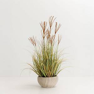 DRAGON BEARD ΦΥΤΟ ΤΕΧΝΗΤΟ 90cm PVC ΠΡΑΣΙΝΟ ΚΑΦΕ