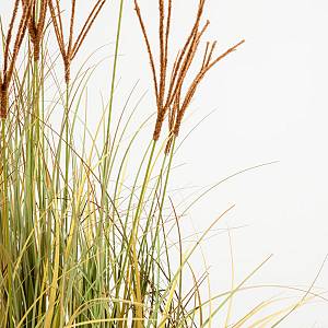 DRAGON BEARD ΦΥΤΟ ΤΕΧΝΗΤΟ 90cm PVC ΠΡΑΣΙΝΟ ΚΑΦΕ