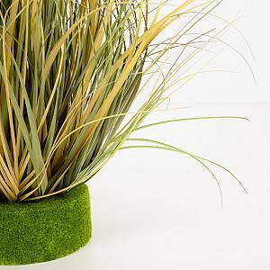 DRAGON BEARD ΦΥΤΟ ΤΕΧΝΗΤΟ 90cm PVC ΠΡΑΣΙΝΟ ΚΑΦΕ