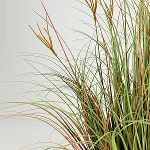 DRAGON BEARD ΦΥΤΟ ΤΕΧΝΗΤΟ 90cm PVC ΠΡΑΣΙΝΟ ΜΟΥΣΤΑΡΔΙ