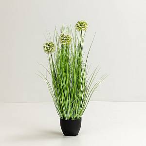 GRASS FLOWER ΦΥΤΟ ΤΕΧΝΗΤΟ ΣΕ ΓΛΑΣΤΡΑ 58cm PVC ΠΡΑΣΙΝΟ