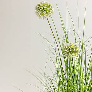 GRASS FLOWER ΦΥΤΟ ΤΕΧΝΗΤΟ ΣΕ ΓΛΑΣΤΡΑ 58cm PVC ΠΡΑΣΙΝΟ