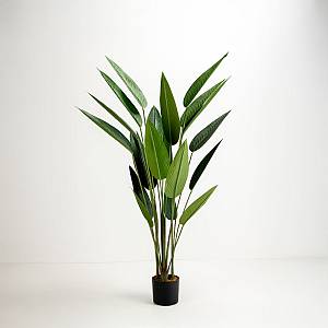 PARADISE BIRD ΔΕΝΤΡΟ ΤΕΧΝΗΤΟ ΣΕ ΓΛΑΣΤΡΑ 160cm POLYESTER ΠΡΑΣΙΝΟ