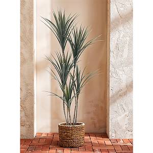 YUCCA ΔΕΝΤΡΟ ΤΕΧΝΗΤΟ ΣΕ ΓΛΑΣΤΡΑ 150cm PE ΠΡΑΣΙΝΟ