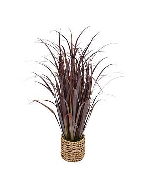 Φύλλα Zya μπορντώ σε κασπώ Η91cm