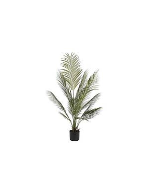 Αρέκα σε κασπώ 45x120εκ.