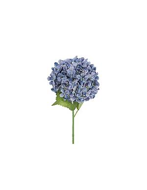 Ορτανσία κλαδί μπλε 70εκ.