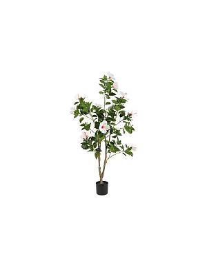 Υβίσκος λευκός σε κασπώ 60x145εκ.