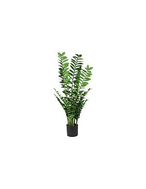 Ζάμια σε κασπώ 130εκ.