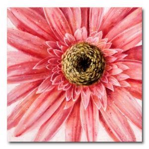 ADL006 - Πίνακας ροζ μαργαρίτα