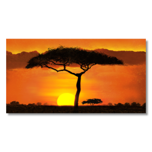 M024 - Πίνακας ηλιοβασίλεμα στην Αφρική