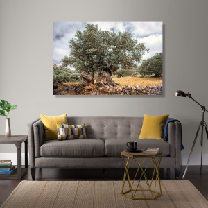 BDL083 - Πίνακας ελιά